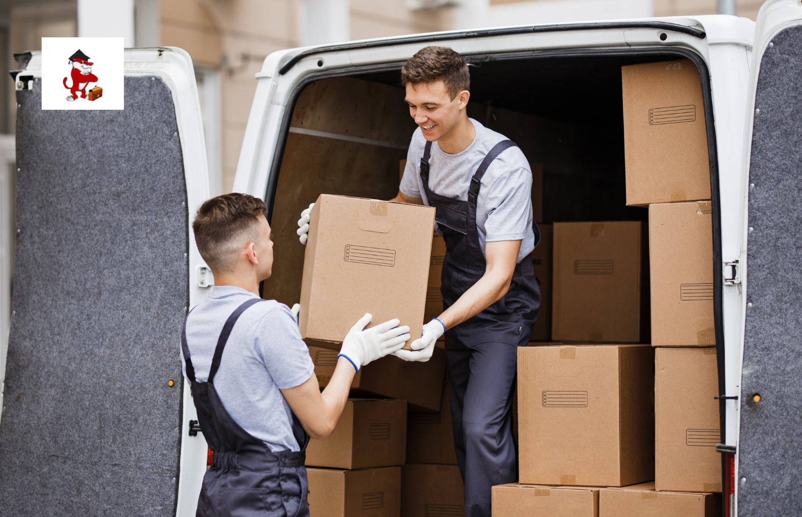 packers and movers in Narnaul